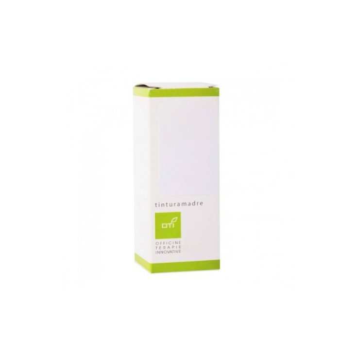 Plantago Major TM Oti 100ml