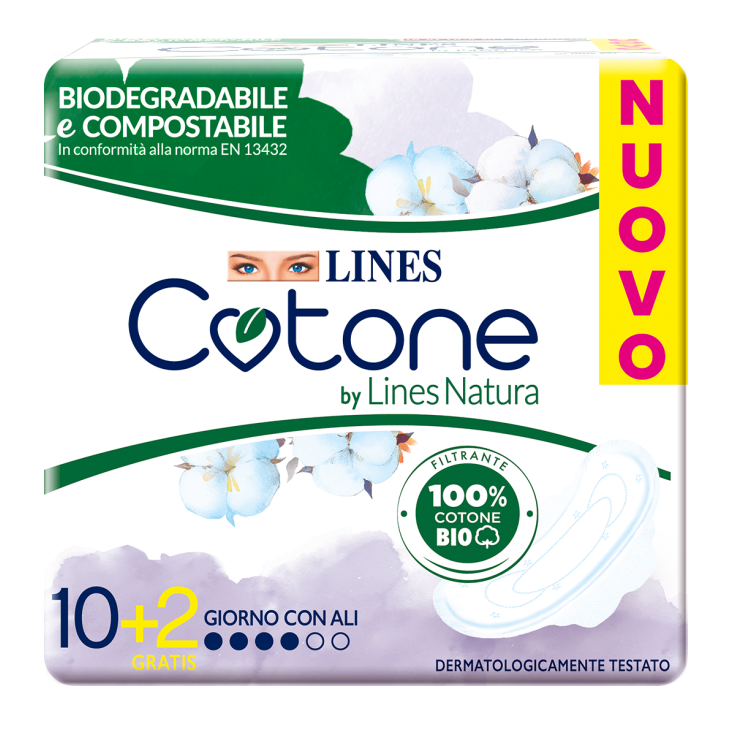 Ultra Day Absorbents With Ali Lines Cotton 12 Pieces