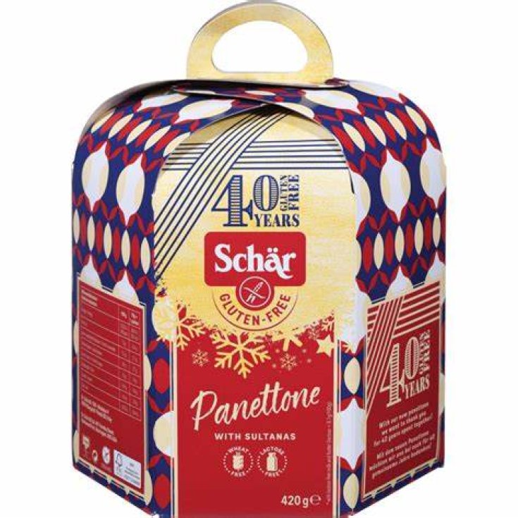 Panettone Gluten Free Schar 420g