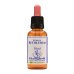 Star Of Bethlehem Healinghherbs 30ml