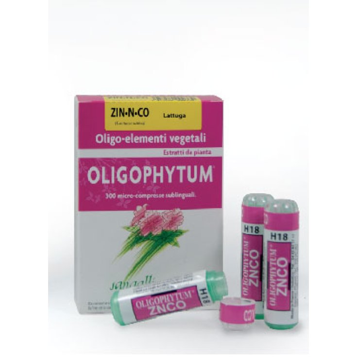 Oligophytum Silicon Sangalli 3x100 Microgranules