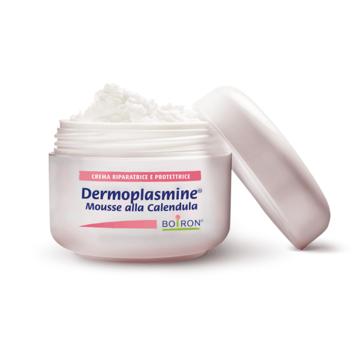 Dermoplasmine® Mousse Boiron® 20g