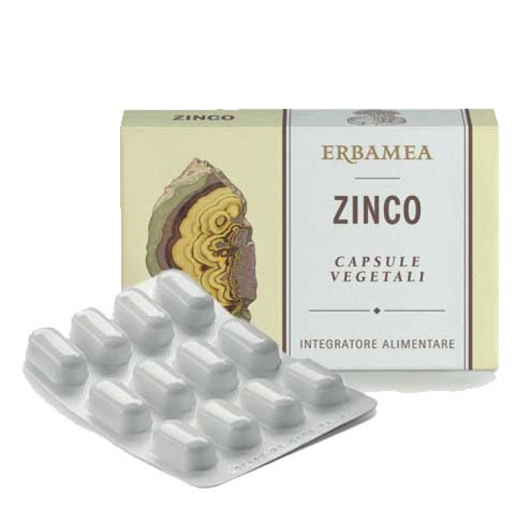 Zinc ERBAMEA® 24 Vegetarian Capsules