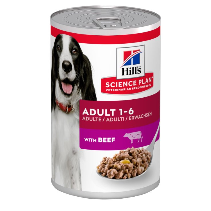 Science Plan Adult With Hill's Beef 370g