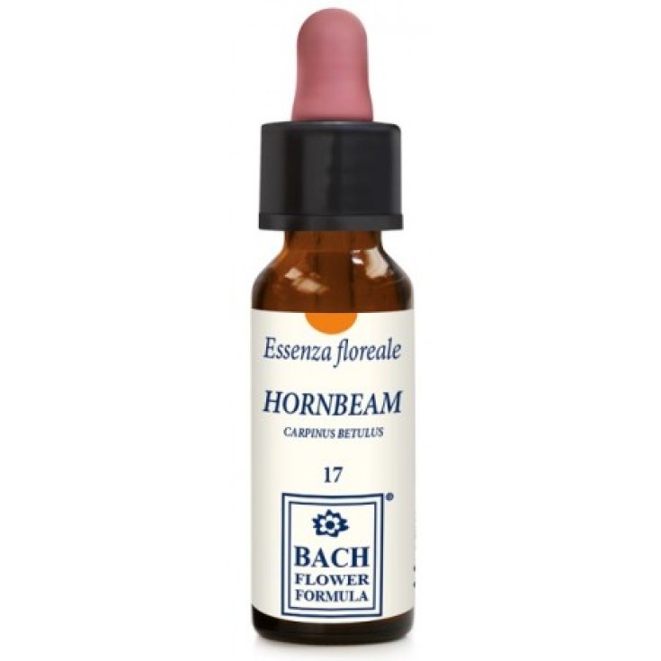 Hornbeam Original Erba Vita 10ml