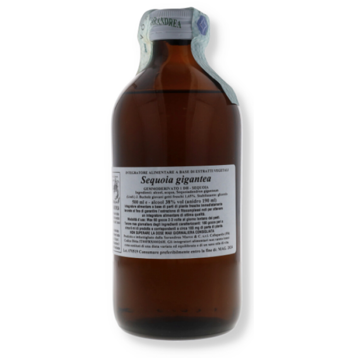 Sequoia Gigantea MG Sarandrea 500ml