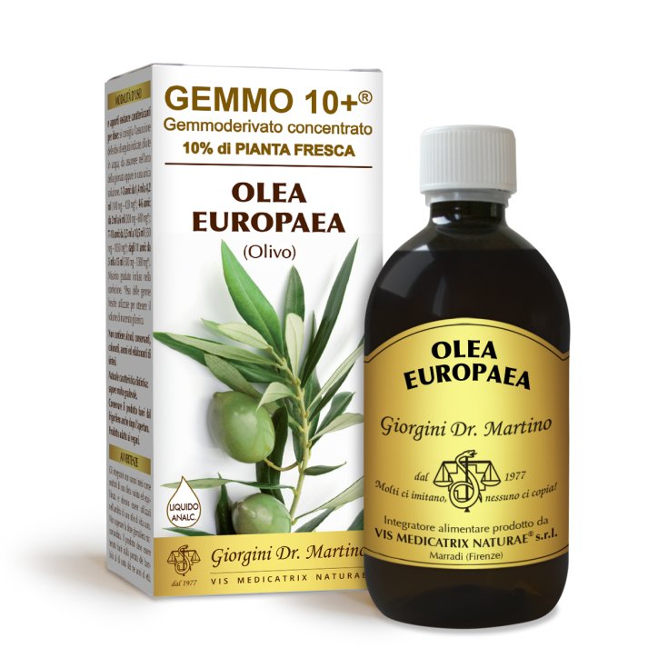 Olivo Gemmoderivato Concentrated Gemmo10 + Dr. Giorgini 500ml