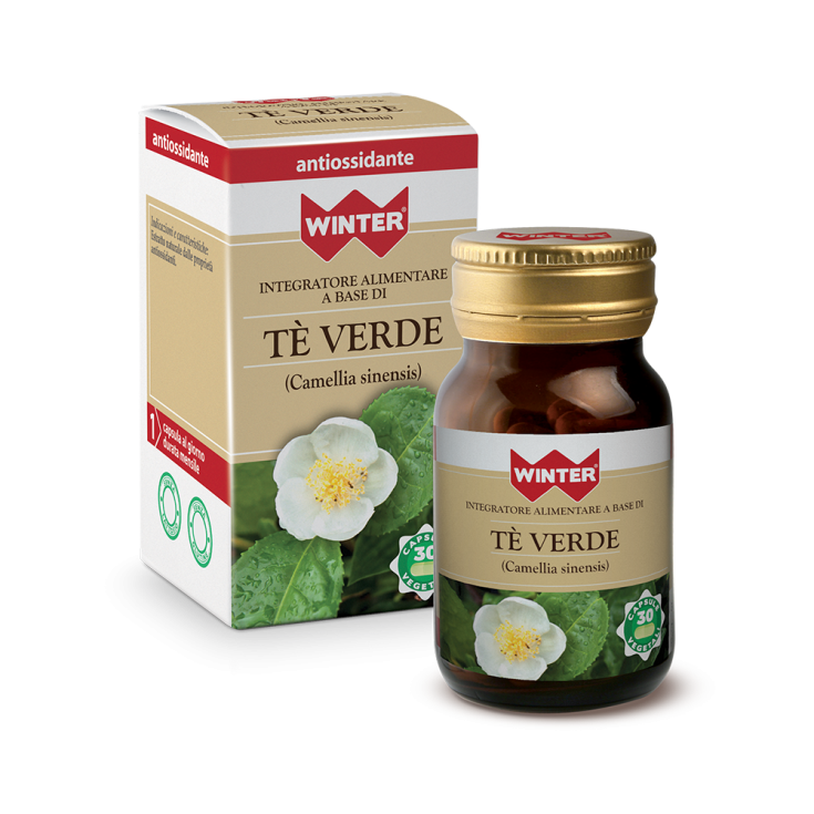WINTER® GREEN TEA 30 Vegetable Capsules