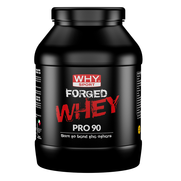 FORGED WHEY PRO 90 WHY SPORT Cocoa 900g
