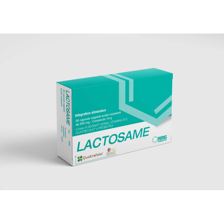 Lactosame Smg Pharmaceuticals 30 Capsules
