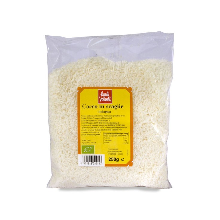 Organic Coconut Flakes Baule Volante 250g