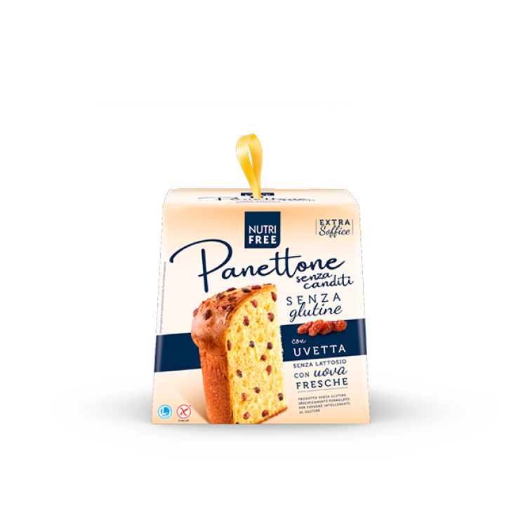 NutriFree Panettone Without Candies with Raisins