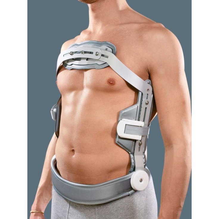 Iper35 Hyper-Extensor Size L Ro + Ten®1 Bust