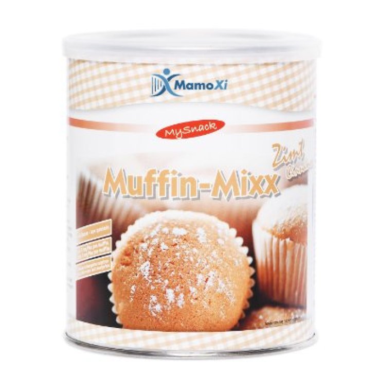 MY SNACK MUFFIN MIXX CINNAMON 420g