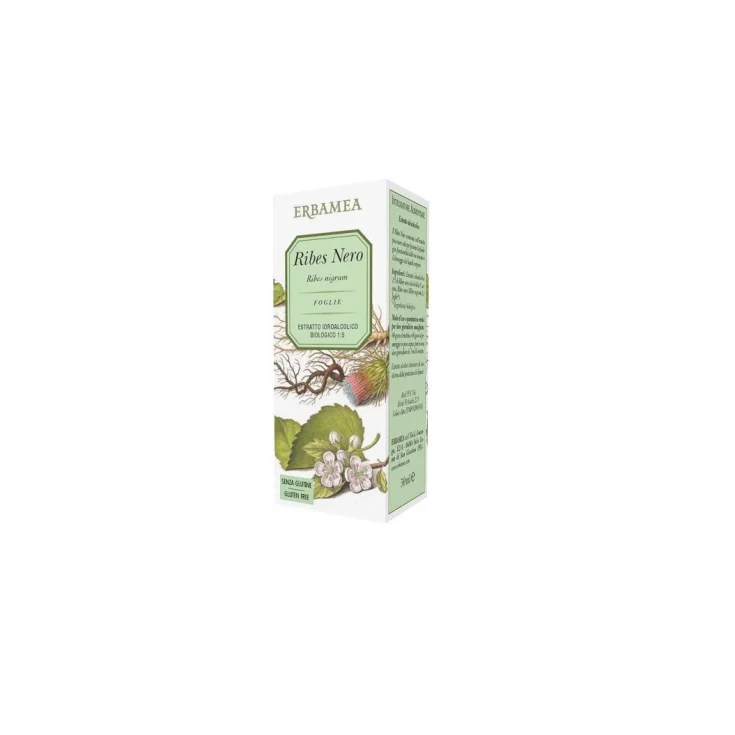 Black currant ERBAMEA 50ml