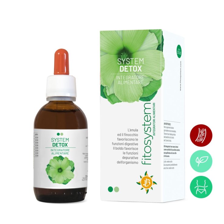 System Detox fitosystem 50ml