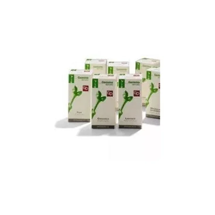 Macerate Glycerinated Ribes Nigrum Fagron 10ml