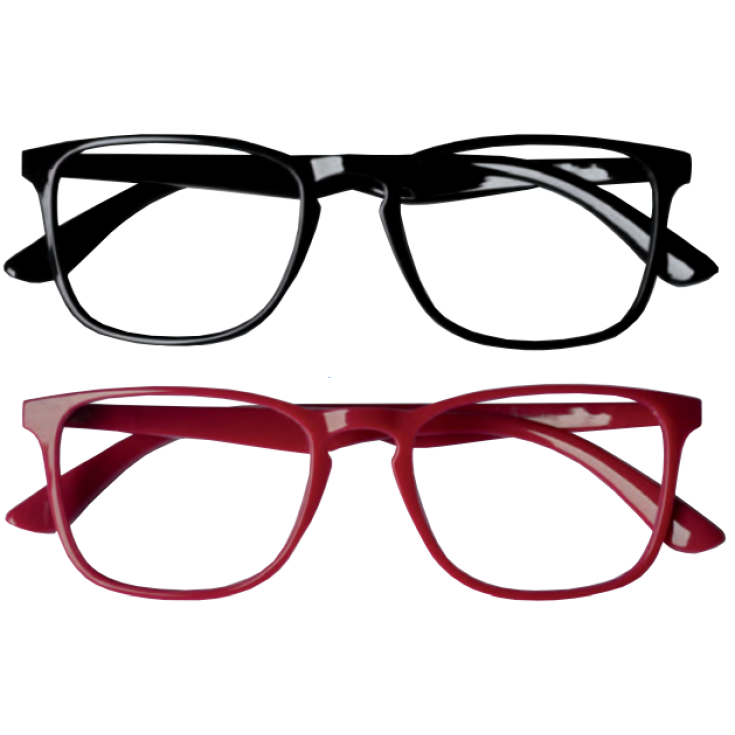 Twins6 Pre-assembled Glasses +2.00 Prontixte 1 Pair