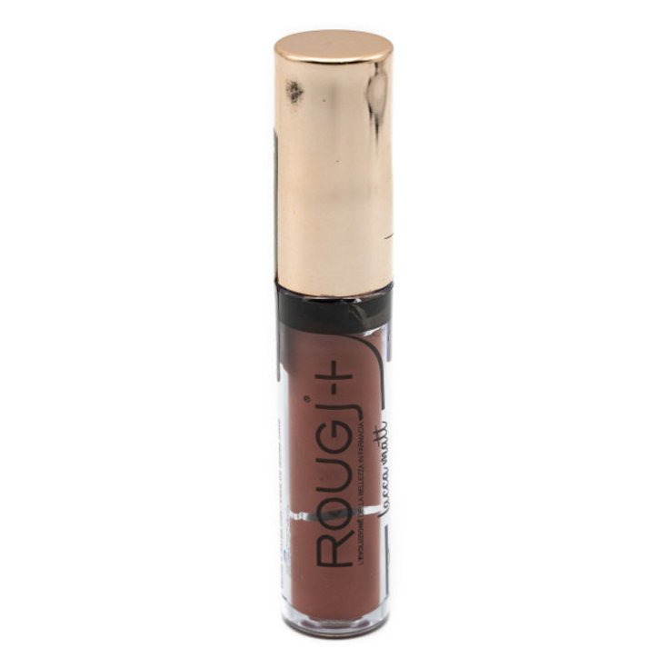 LIPSTICK MATT 06 WINNIE ROUGJ