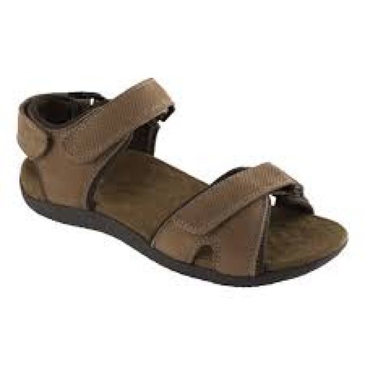 BARWON MAN BROWN N41 Dr. Scholl's®