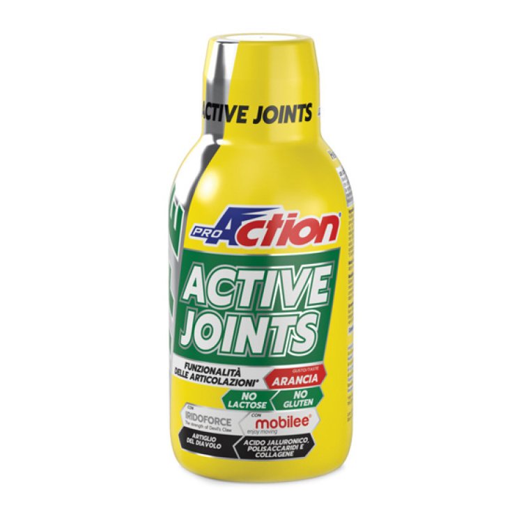 ACTIVE JOINTS PROACTION® 500ml