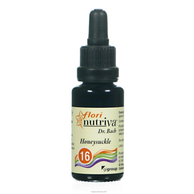 FloriNutriva Honeysuckle GiGroup 20ml