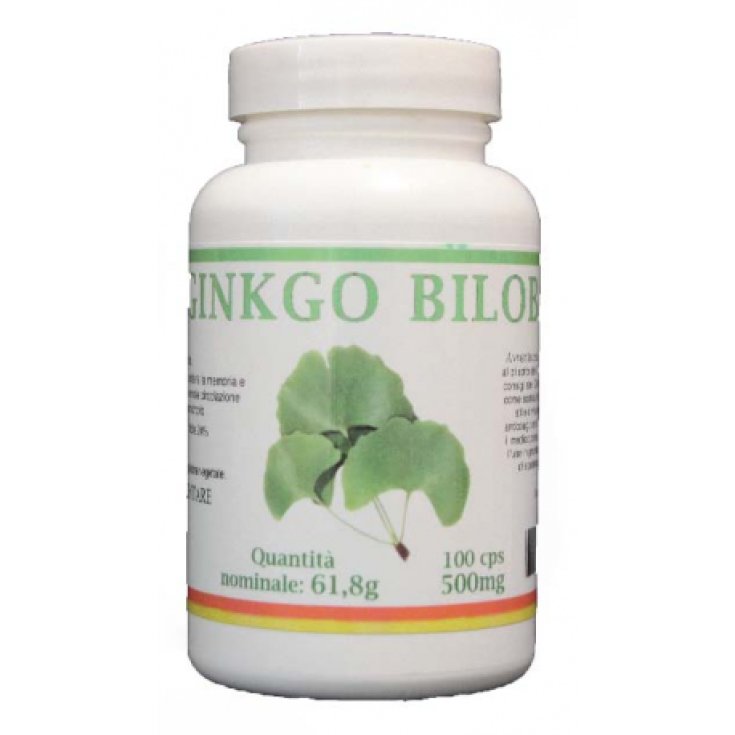 Ginkgo Biloba I Healthy Bio 100 Capsules