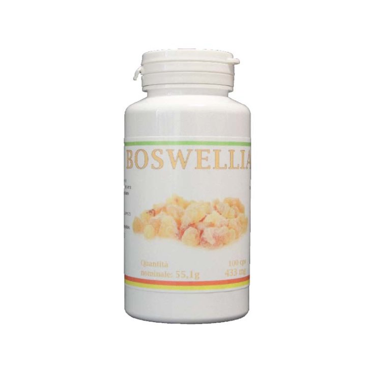 BOoswellia I Healthy Bio 100 Capsules