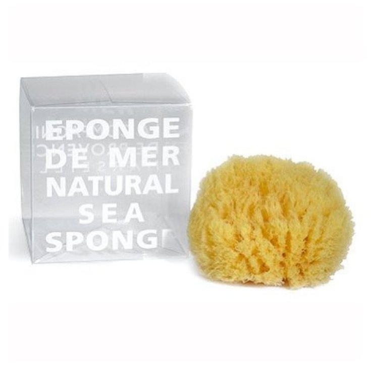 Natural Sea Sponge COMPAGNIE DE PROVENCE