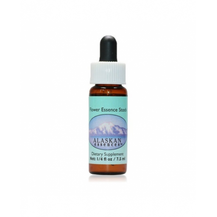 LADIES TRESSES Alaskan Essences 7,4ml