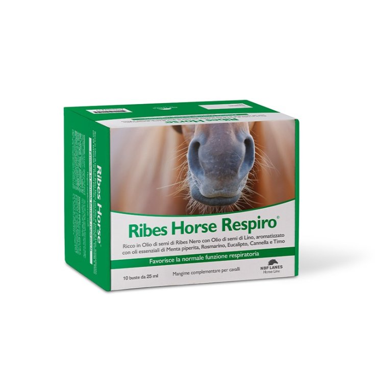 Ribes Horse Respiro NBF Lanes 10 Envelopes