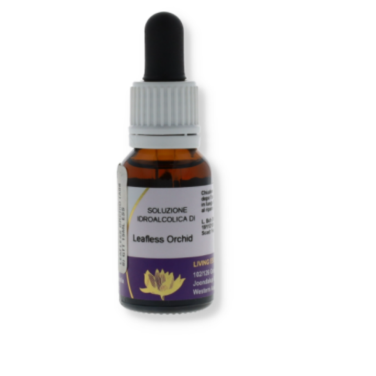 Leafless Orchid Australian Essence 15ml