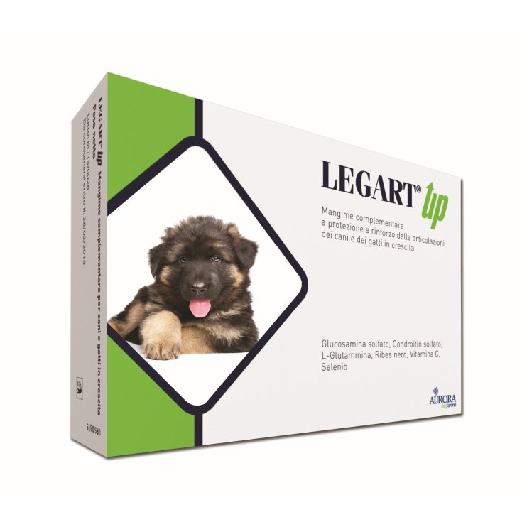 Legart Up Aurora BioFarma 120 Tablets