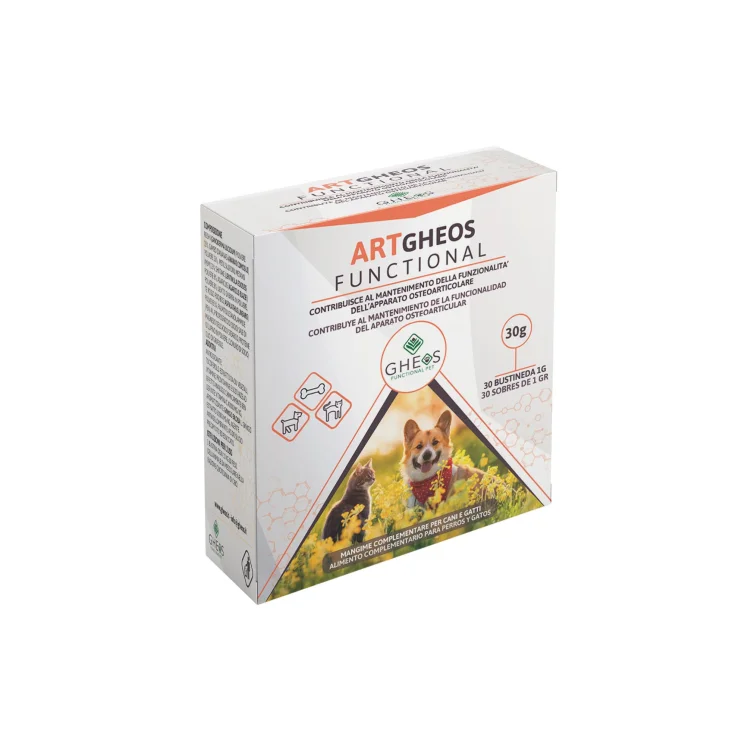 ART GHEOS FUNCTIONAL 30BUST