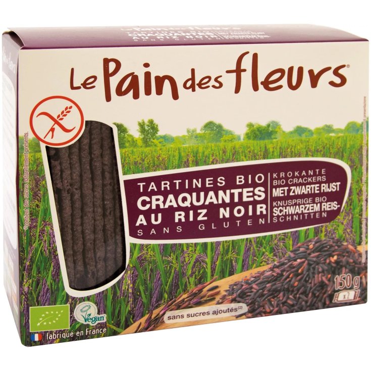 PAIN DES FLEURS RICE TURTLE