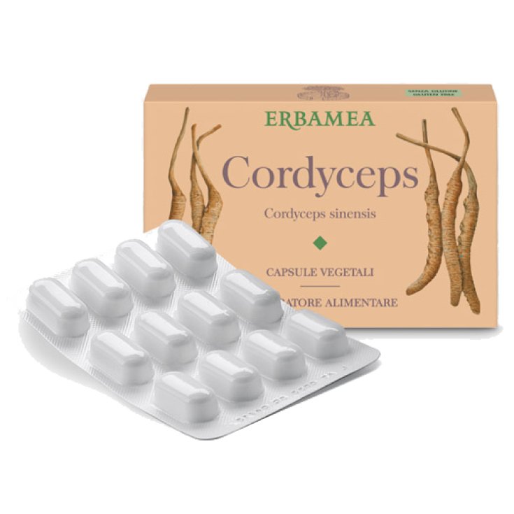 VEGETABLE CORDYCEPS 24CPS