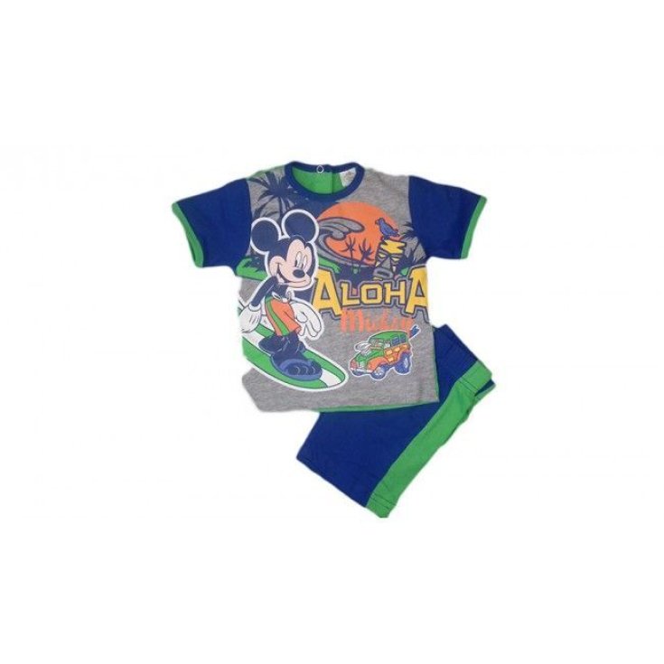 Complete 2pcs ellepi green blue 3 m