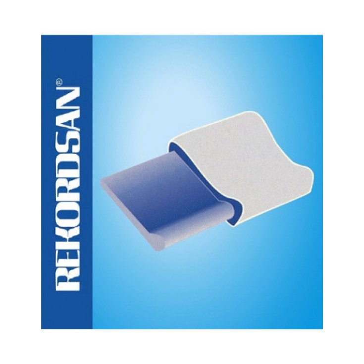 REKORDSAN PILLOW GRAN CONFO