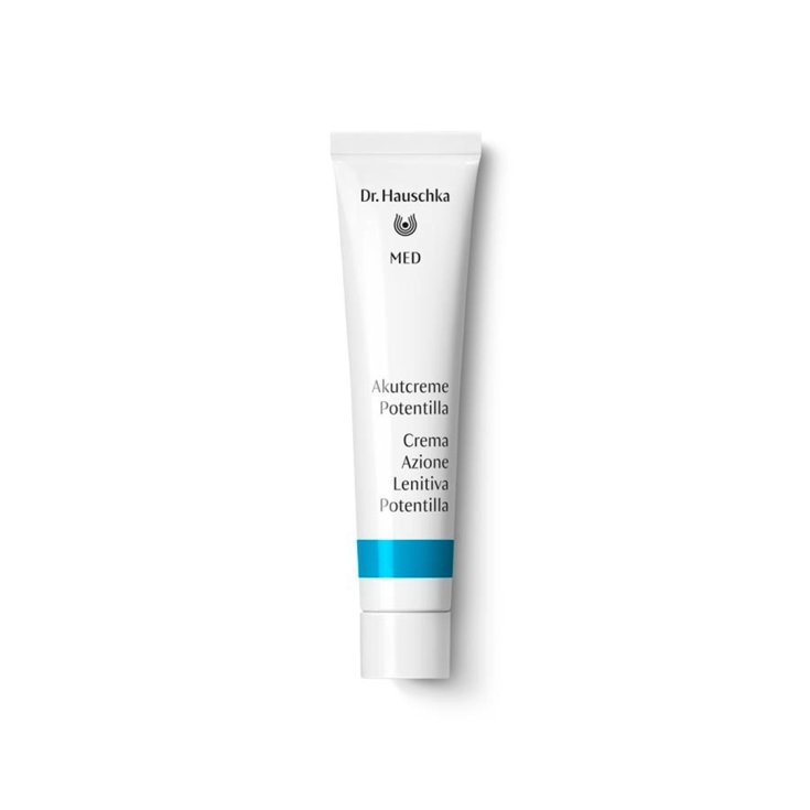 DR HAUSCHKA LENIT ACTION CREAM