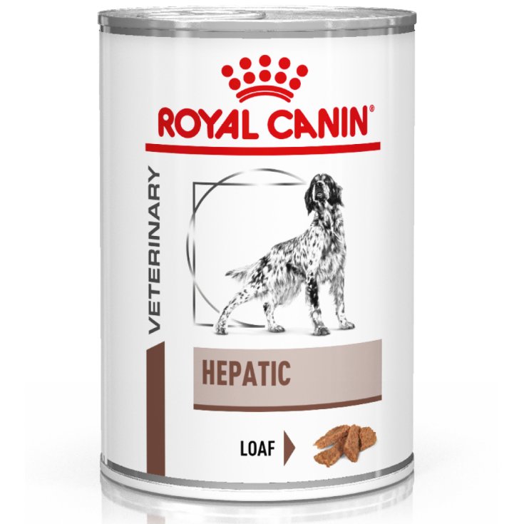 VHN W DOG HEPATIC 420G