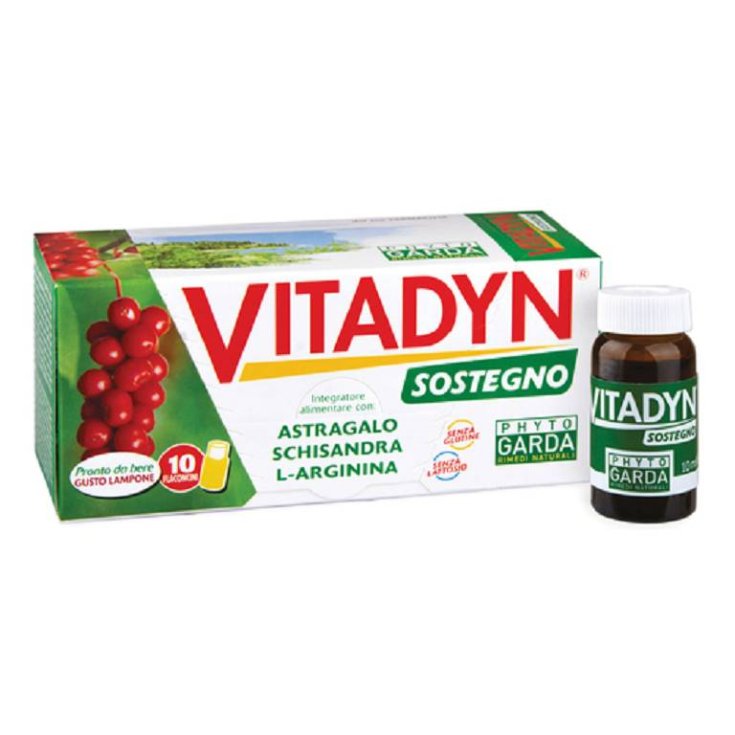 VITADYN SUPPORT 10FL