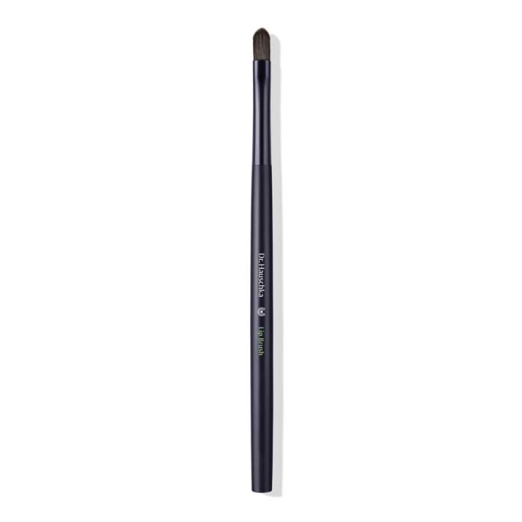 DR HAUSCHKA MAL LIP BRUSH