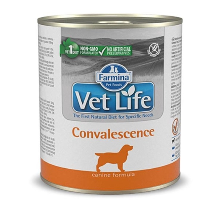 VET LIFE DOG CONVALESCENCE300G