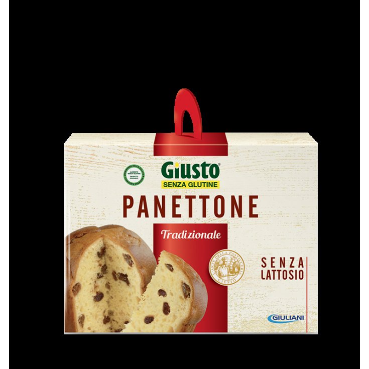 RIGHT S/G PANETTONE 500G