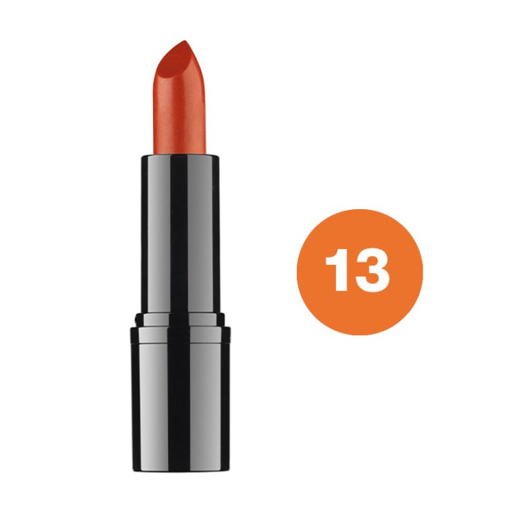 DDP PROFESSIONAL LIPSTICK 13