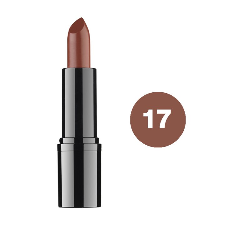 DDP PROFESSIONAL LIPSTICK 17