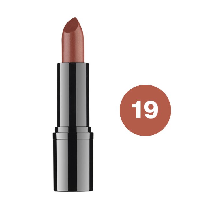 DDP PROFESSIONAL LIPSTICK 19