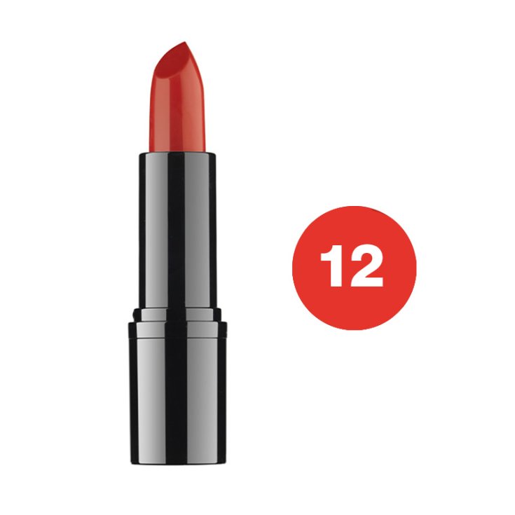 DDP PROFESSIONAL LIPSTICK 12