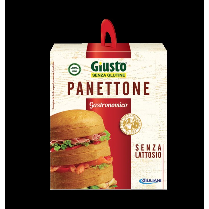 RIGHT S/G PANETTONE GAST 400G