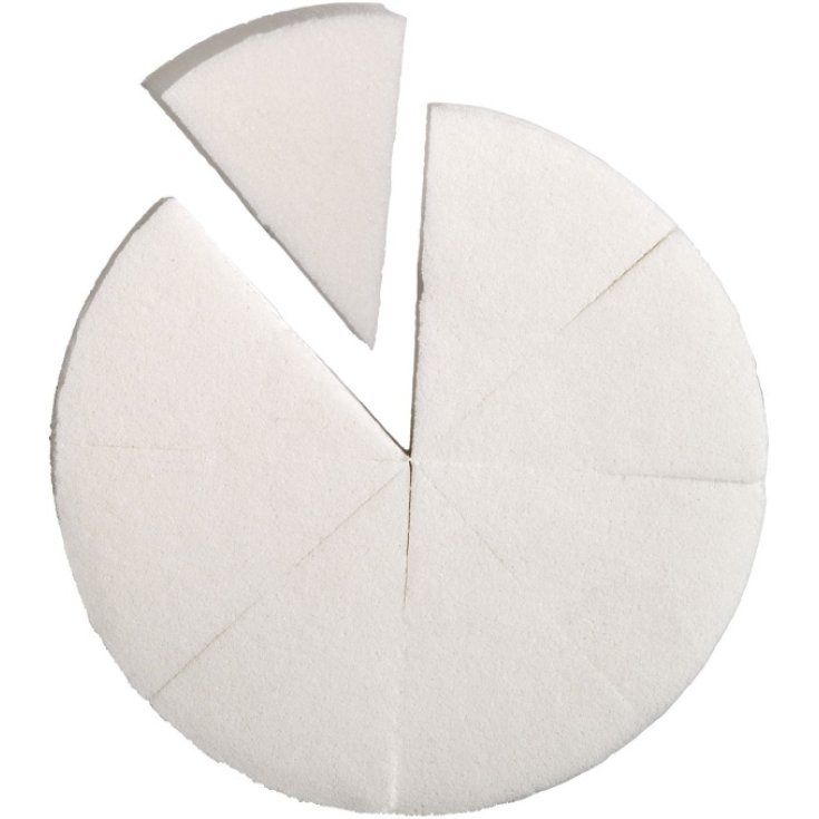 RVB LAB PRE-CUT SPONGE